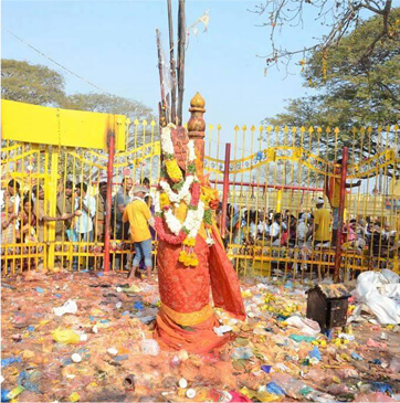 Sammakka Saralamma Jatara Warangal