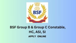 BSF Group B & Group C Constable, HC, ASI, SI Various Post Recruitment