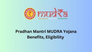 Pradhan Mantri Mudra Yojana (PMMY): Empowering Small Businesses in India