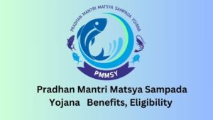 Pradhan Mantri Matsya Sampada Yojana (PMMSY)