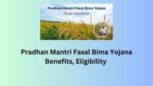 Pradhan Mantri Fasal Bima Yojana (PMFBY)